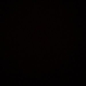 Meet your Posher, Tyson